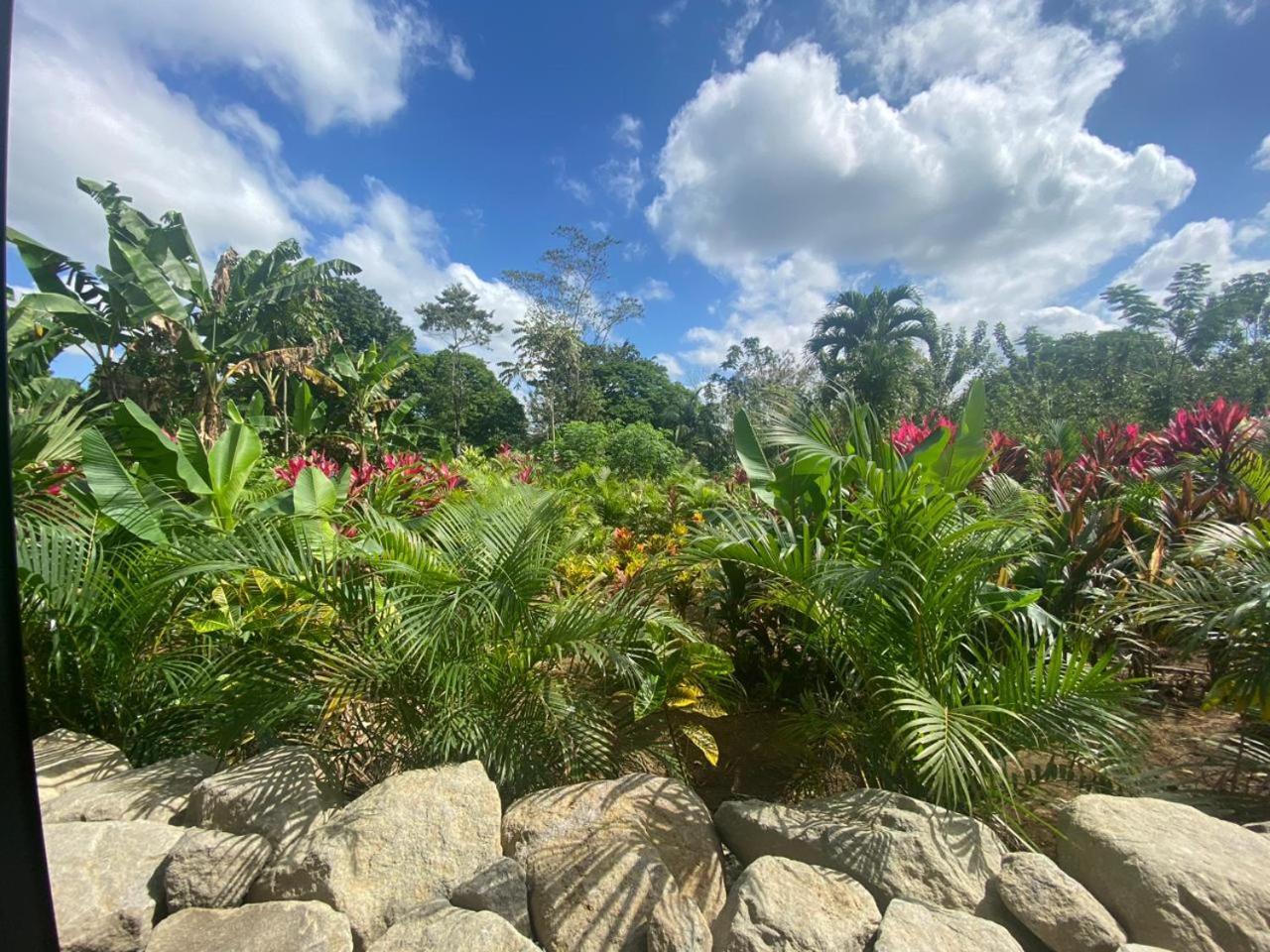 Villa Tanager La Fortuna ภายนอก รูปภาพ